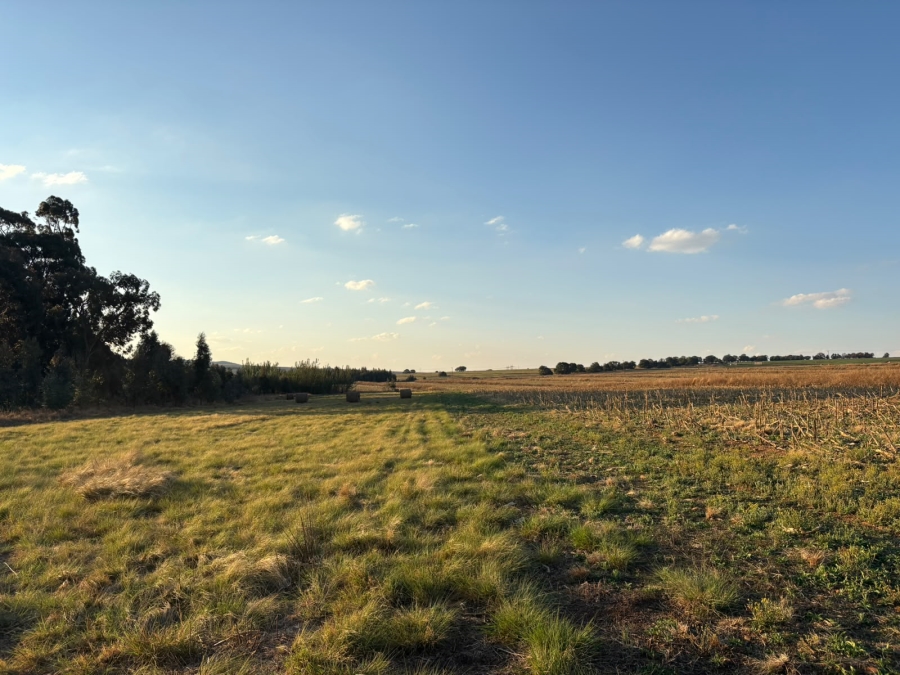 5 Bedroom Property for Sale in Balfour Mpumalanga