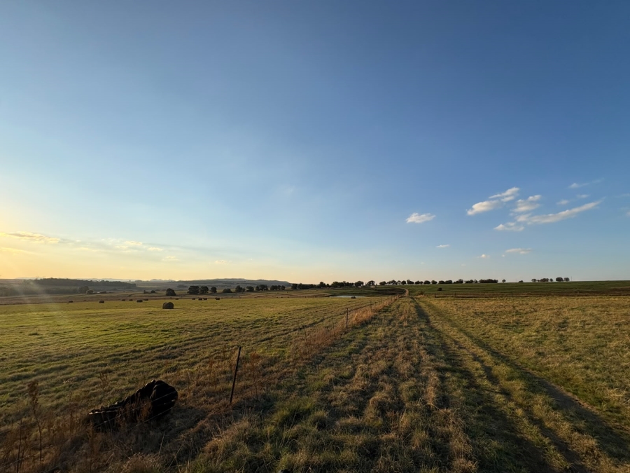 5 Bedroom Property for Sale in Balfour Mpumalanga