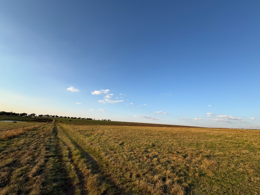5 Bedroom Property for Sale in Balfour Mpumalanga