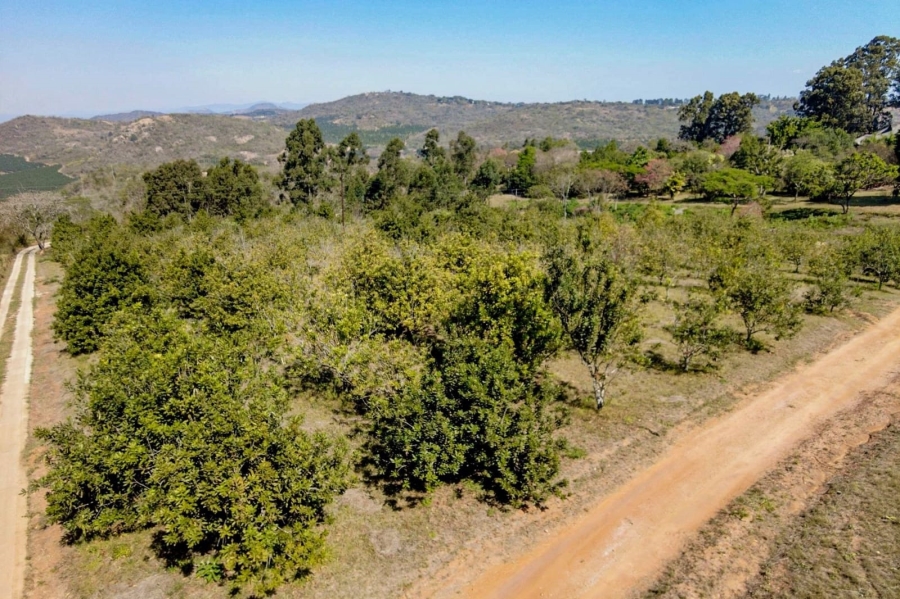 4 Bedroom Property for Sale in White River Mpumalanga