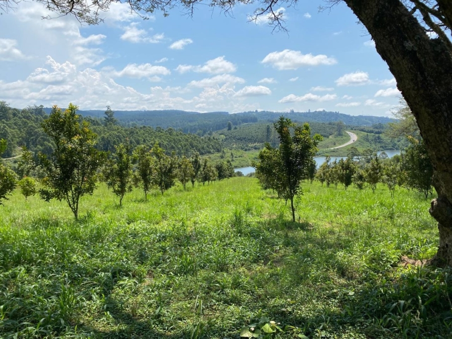 3 Bedroom Property for Sale in White River Mpumalanga