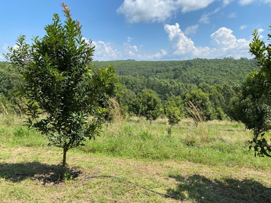 3 Bedroom Property for Sale in White River Mpumalanga