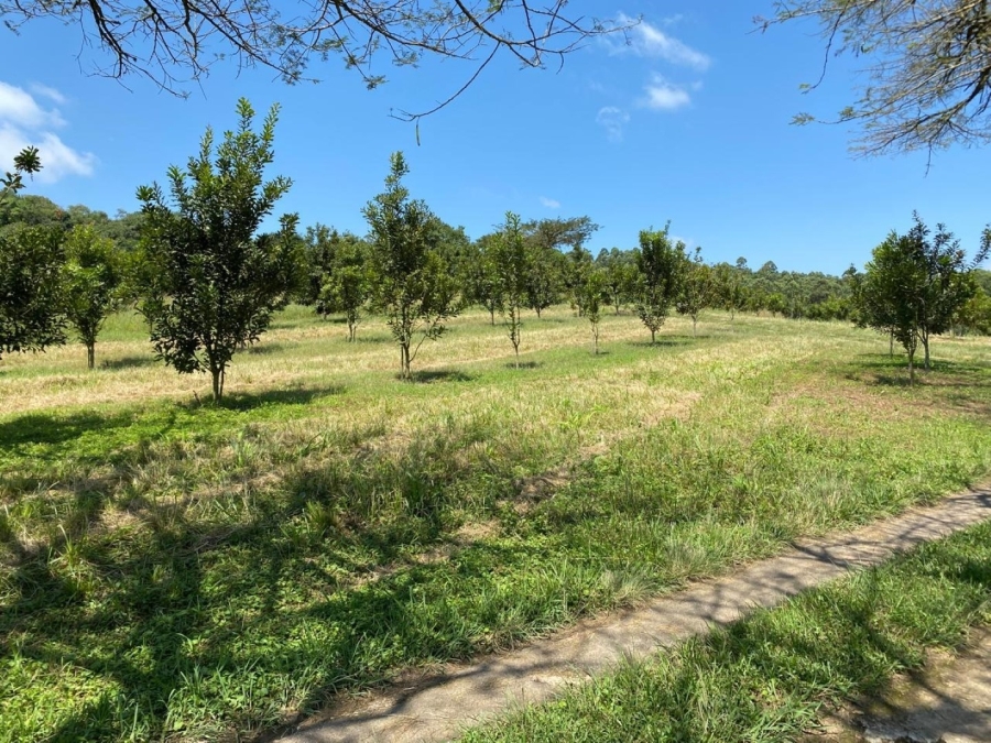 3 Bedroom Property for Sale in White River Mpumalanga