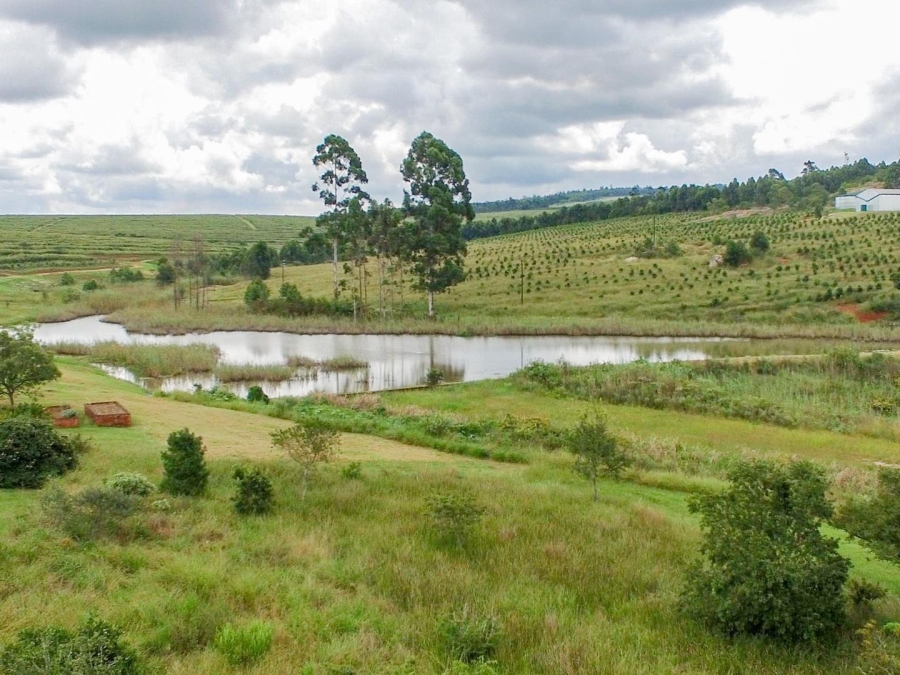 4 Bedroom Property for Sale in Summer Breeze Estate Mpumalanga