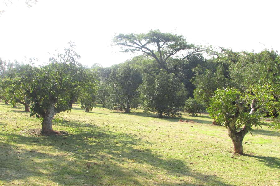 6 Bedroom Property for Sale in White River Mpumalanga