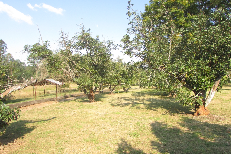 6 Bedroom Property for Sale in White River Mpumalanga