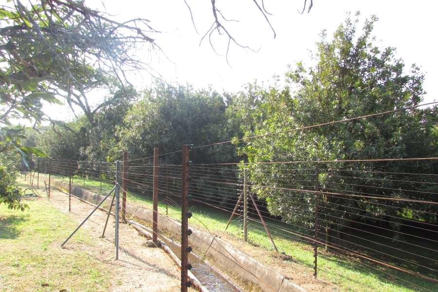 6 Bedroom Property for Sale in White River Mpumalanga