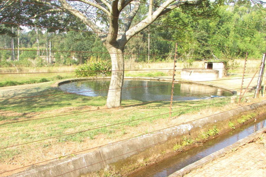 6 Bedroom Property for Sale in White River Mpumalanga