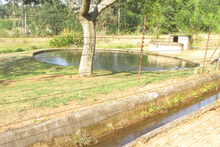 6 Bedroom Property for Sale in White River Mpumalanga