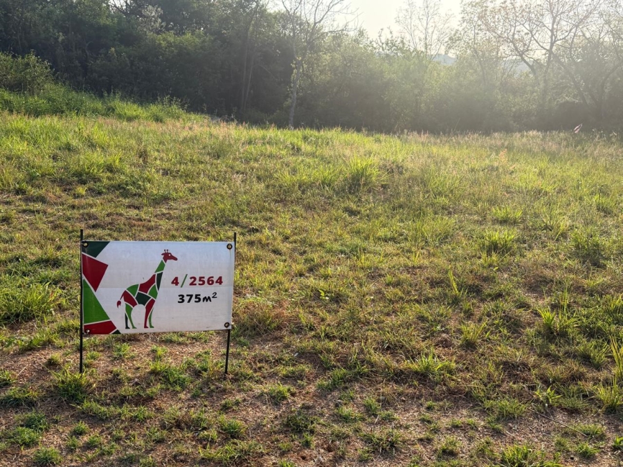 0 Bedroom Property for Sale in Kamagugu Mpumalanga