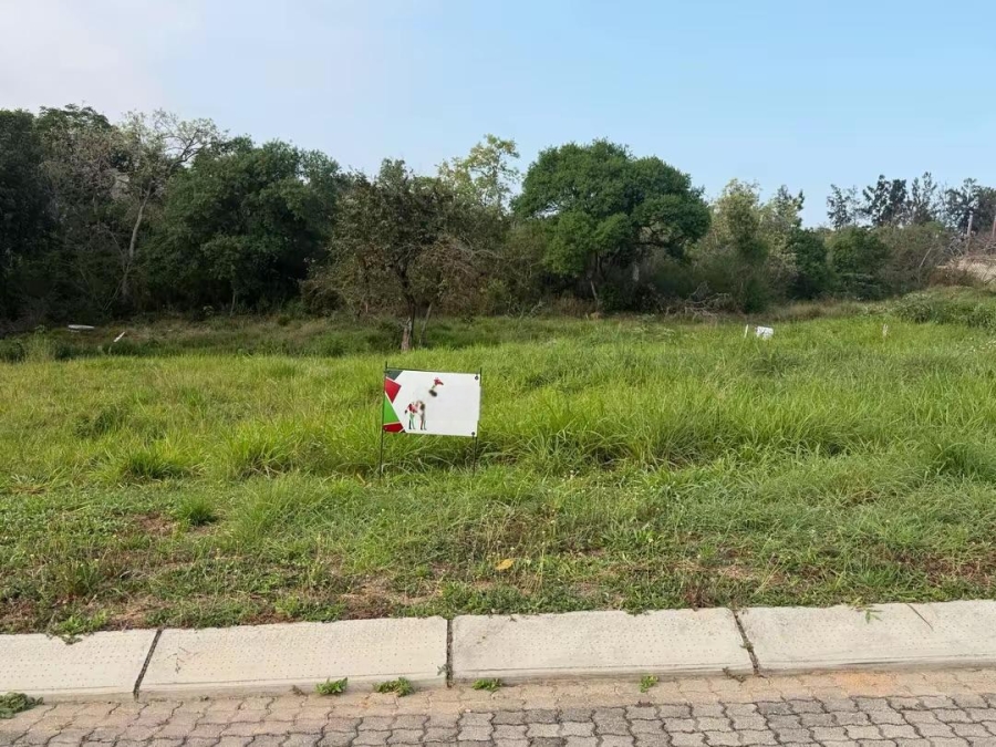 0 Bedroom Property for Sale in Kamagugu Mpumalanga
