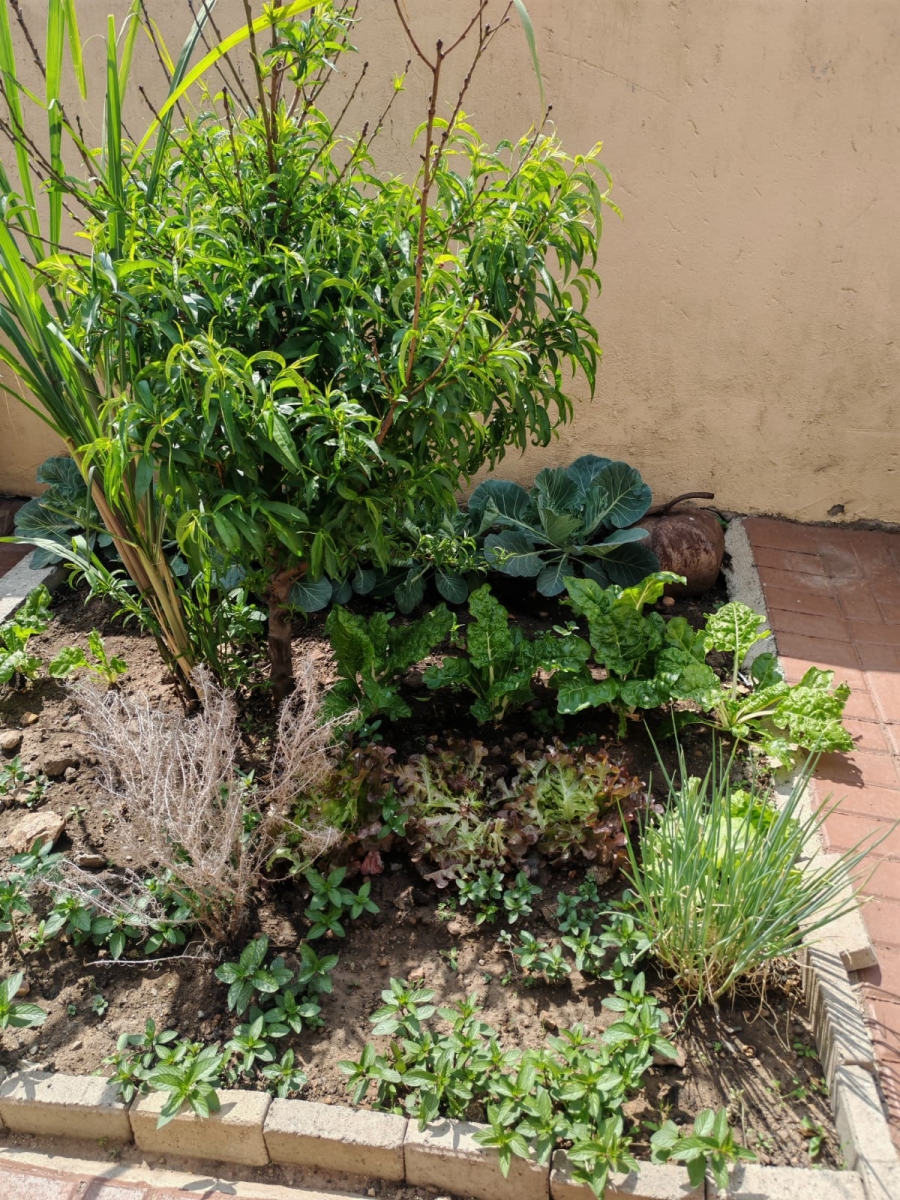 To Let 3 Bedroom Property for Rent in Duvha Park Mpumalanga