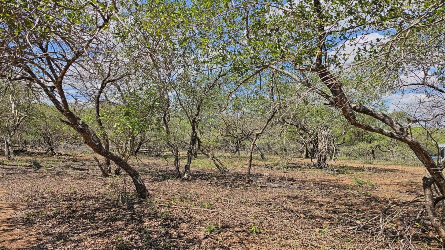 0 Bedroom Property for Sale in Marloth Park Mpumalanga