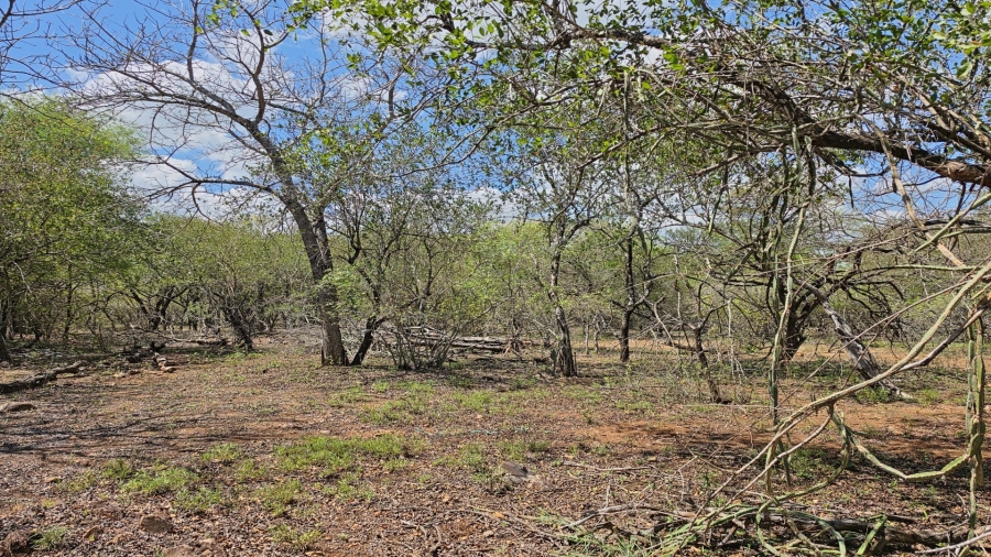 0 Bedroom Property for Sale in Marloth Park Mpumalanga