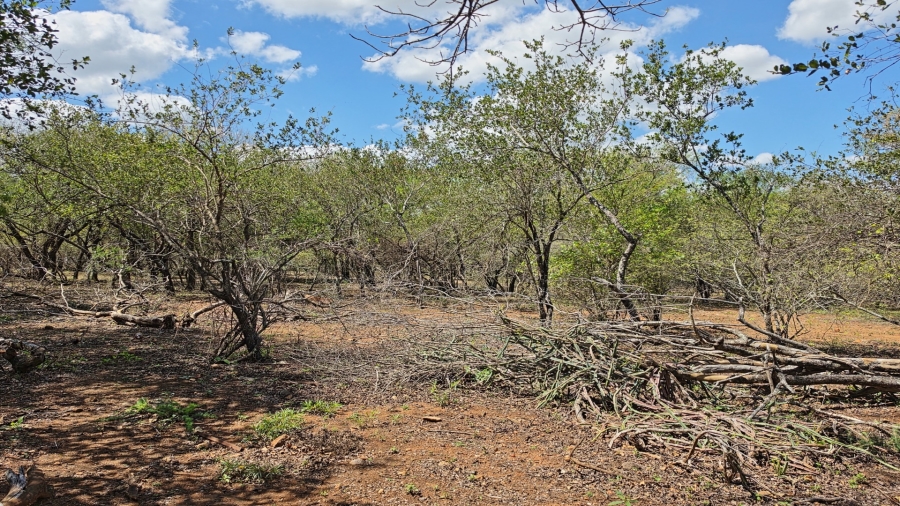0 Bedroom Property for Sale in Marloth Park Mpumalanga