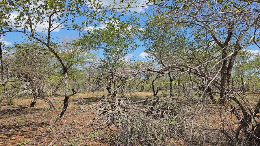 0 Bedroom Property for Sale in Marloth Park Mpumalanga