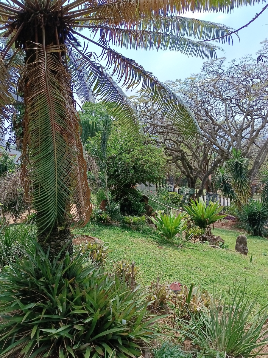 6 Bedroom Property for Sale in Nelspruit Ext 2 Mpumalanga