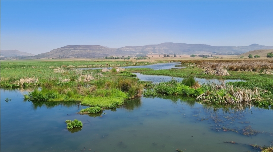 6 Bedroom Property for Sale in Wakkerstroom Mpumalanga