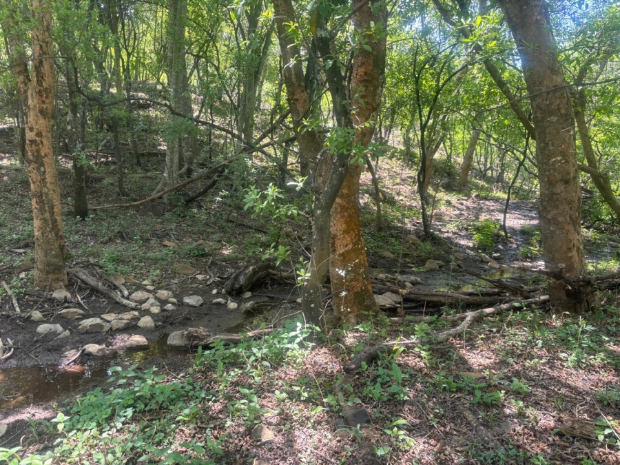Commercial Property for Sale in Lydenburg Rural Mpumalanga