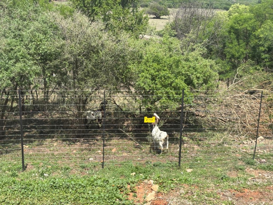 Commercial Property for Sale in Lydenburg Rural Mpumalanga