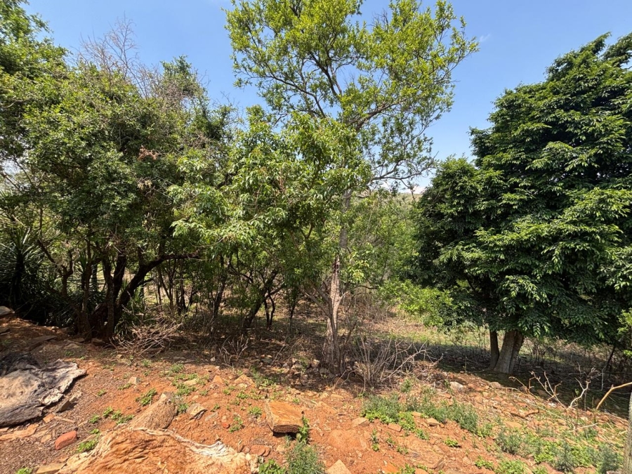Commercial Property for Sale in Lydenburg Rural Mpumalanga