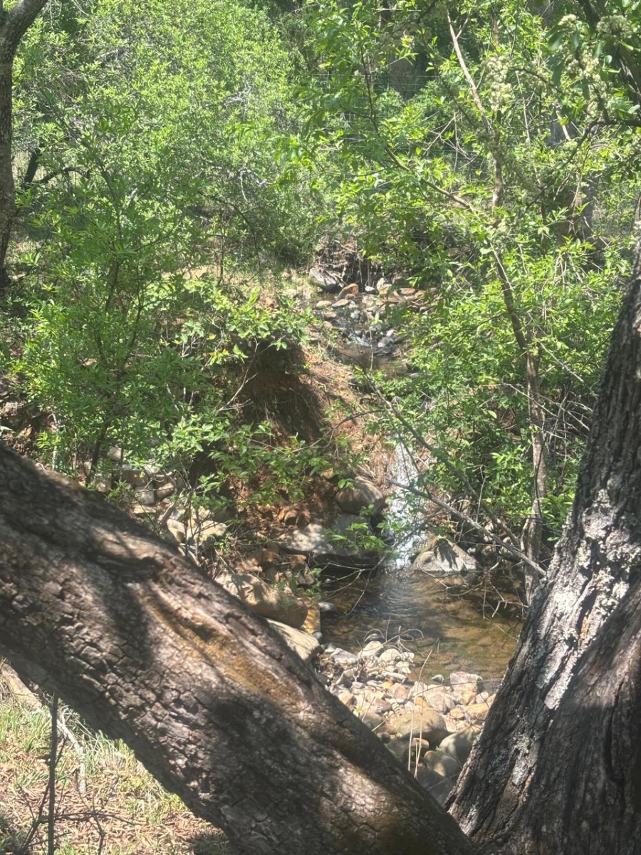 Commercial Property for Sale in Lydenburg Rural Mpumalanga