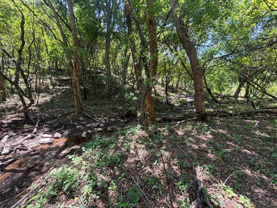 Commercial Property for Sale in Lydenburg Rural Mpumalanga