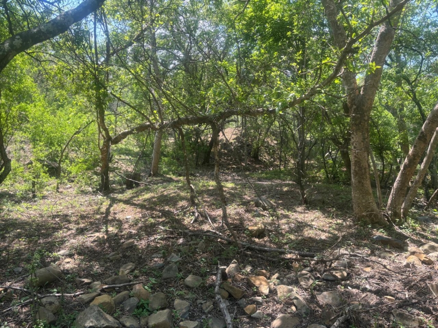 Commercial Property for Sale in Lydenburg Rural Mpumalanga
