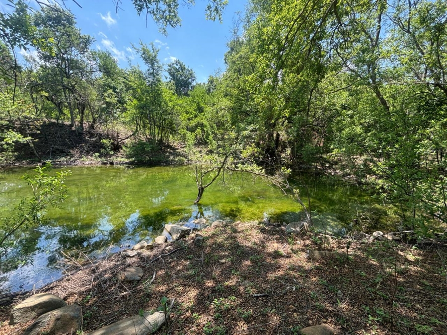 Commercial Property for Sale in Lydenburg Rural Mpumalanga