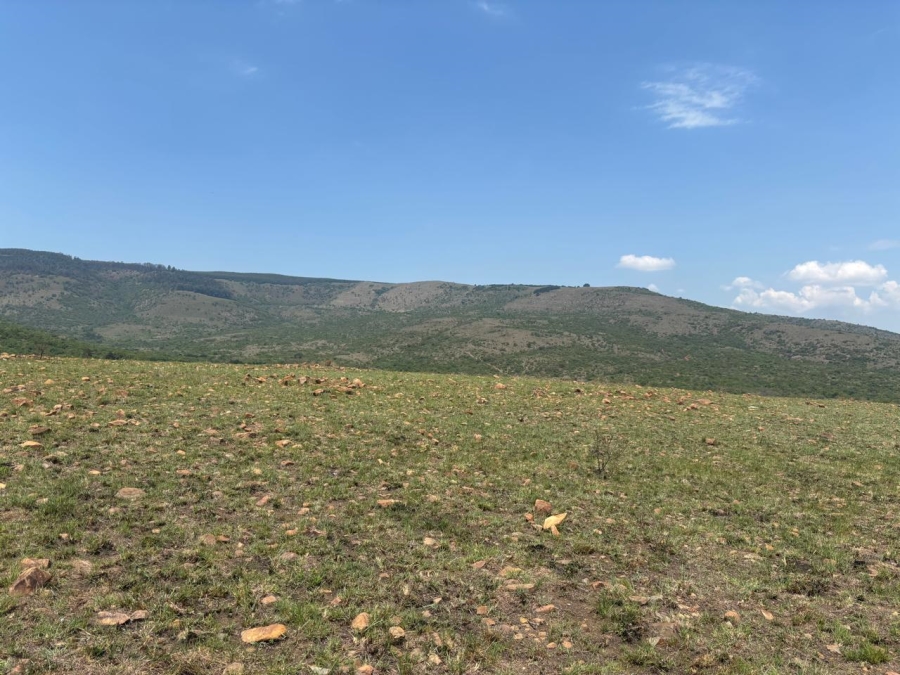 Commercial Property for Sale in Lydenburg Rural Mpumalanga