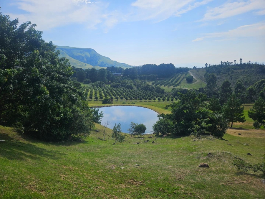 3 Bedroom Property for Sale in Avontuur Mpumalanga