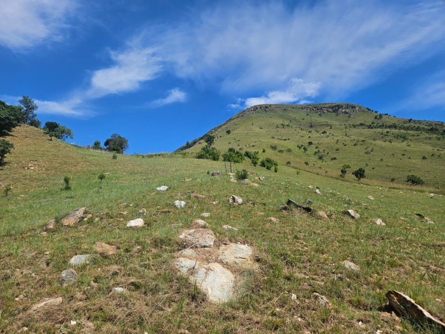 3 Bedroom Property for Sale in Avontuur Mpumalanga