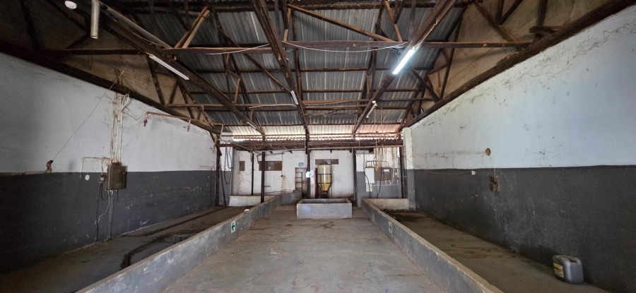 Commercial Property for Sale in White River Mpumalanga