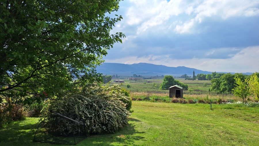 4 Bedroom Property for Sale in Wakkerstroom Mpumalanga