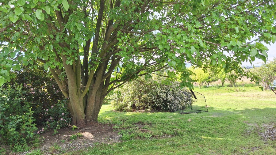 4 Bedroom Property for Sale in Wakkerstroom Mpumalanga