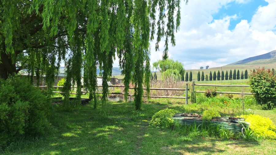 5 Bedroom Property for Sale in Wakkerstroom Mpumalanga