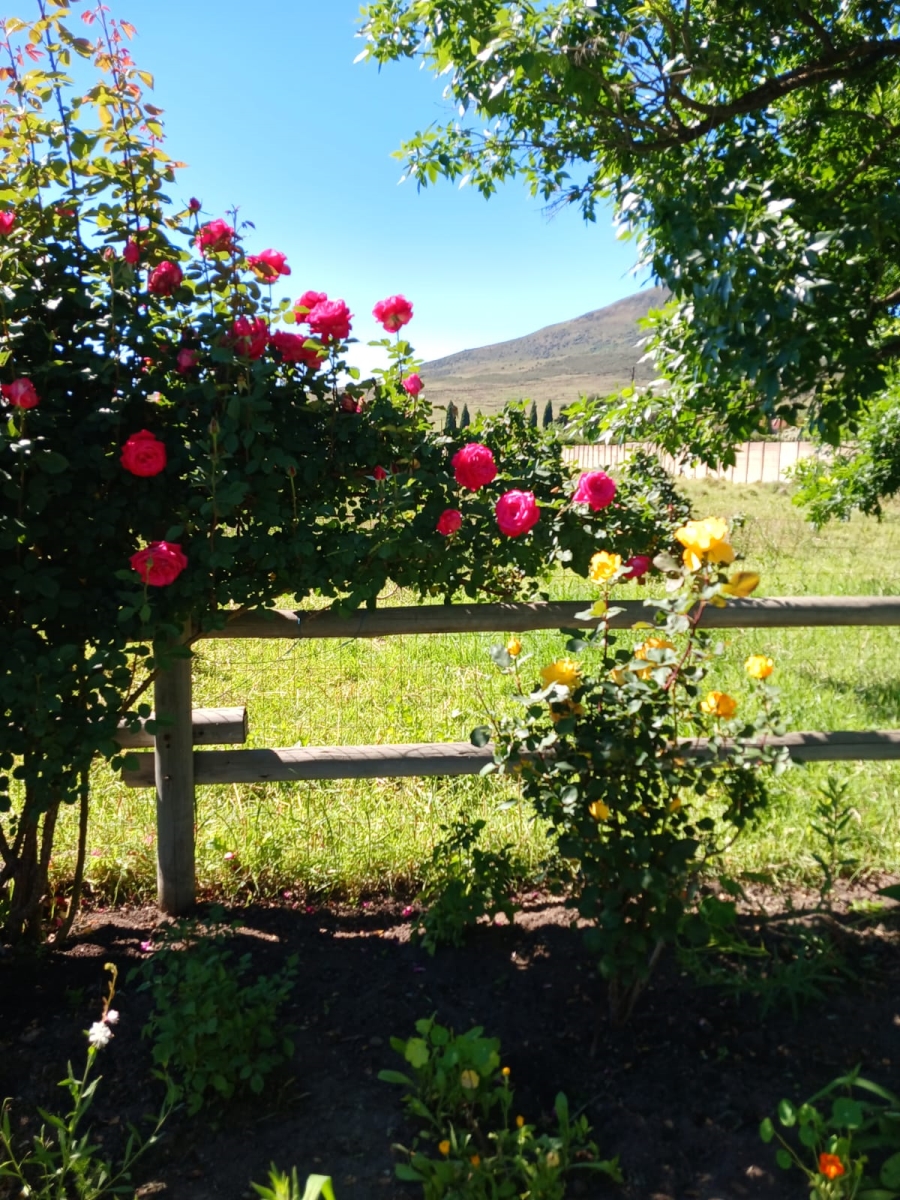 5 Bedroom Property for Sale in Wakkerstroom Mpumalanga