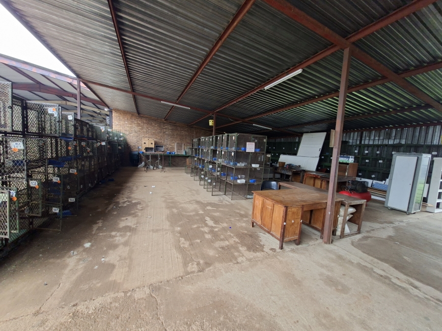 Commercial Property for Sale in Delmas Rural Mpumalanga