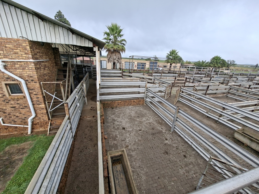 Commercial Property for Sale in Delmas Rural Mpumalanga