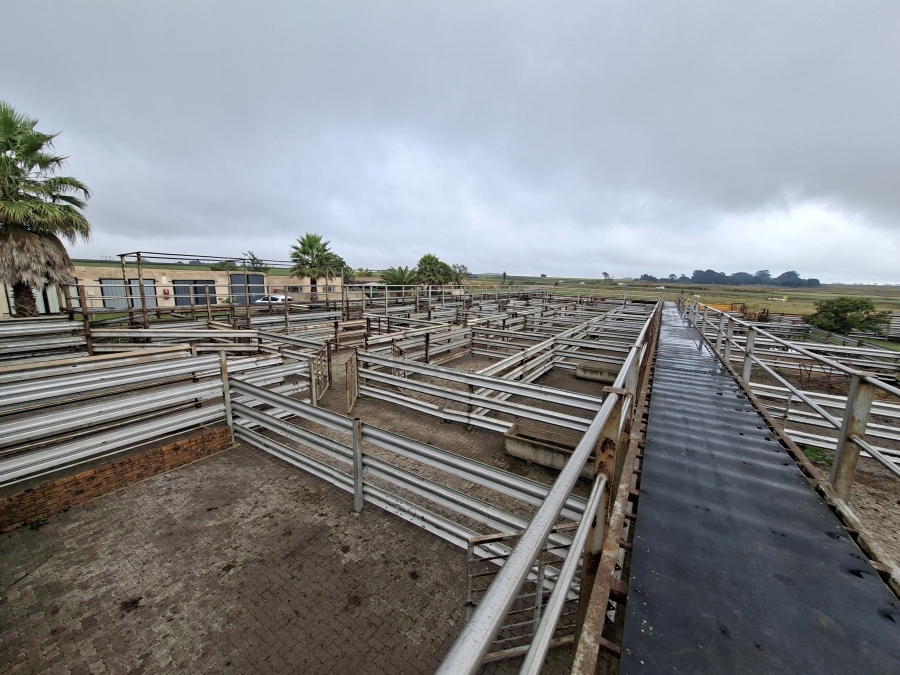 Commercial Property for Sale in Delmas Rural Mpumalanga
