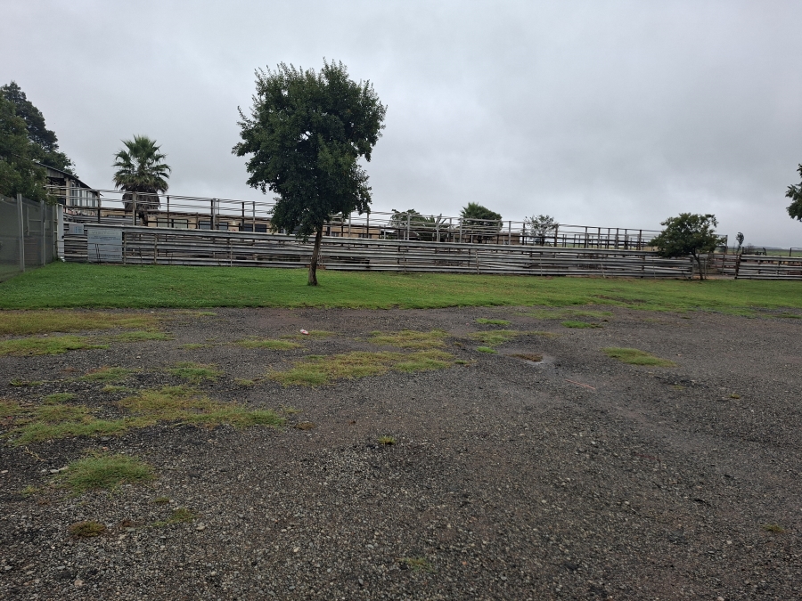 Commercial Property for Sale in Delmas Rural Mpumalanga