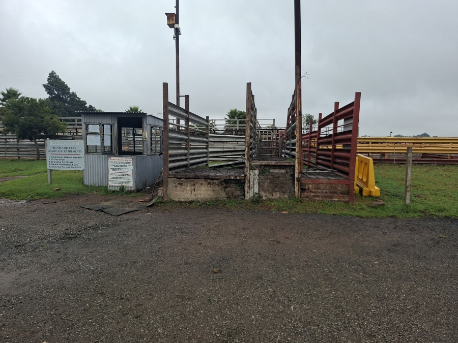 Commercial Property for Sale in Delmas Rural Mpumalanga