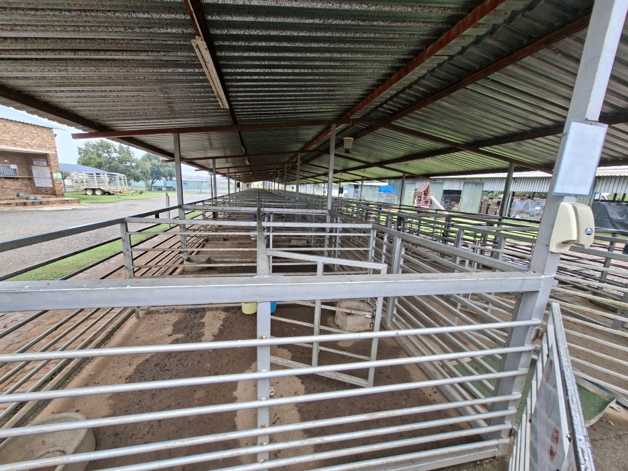 Commercial Property for Sale in Delmas Rural Mpumalanga