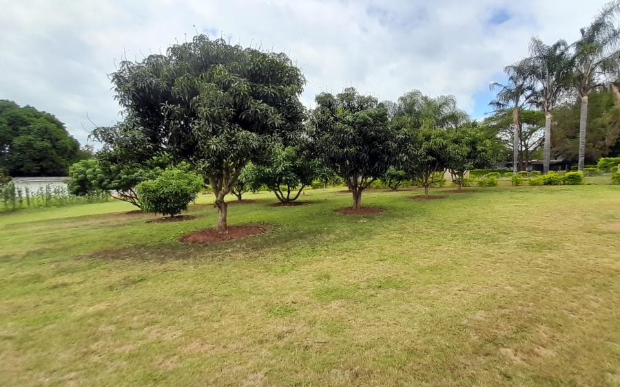 Commercial Property for Sale in White River Estates Mpumalanga