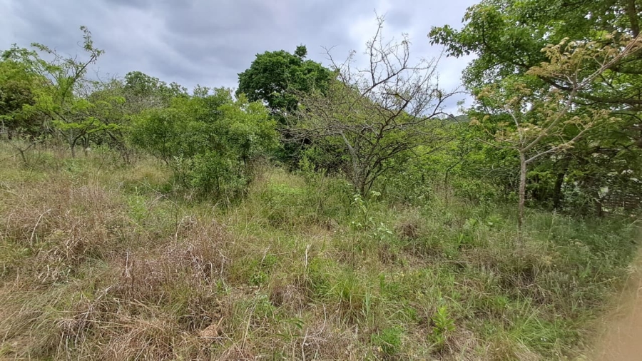 0 Bedroom Property for Sale in Shandon Mpumalanga
