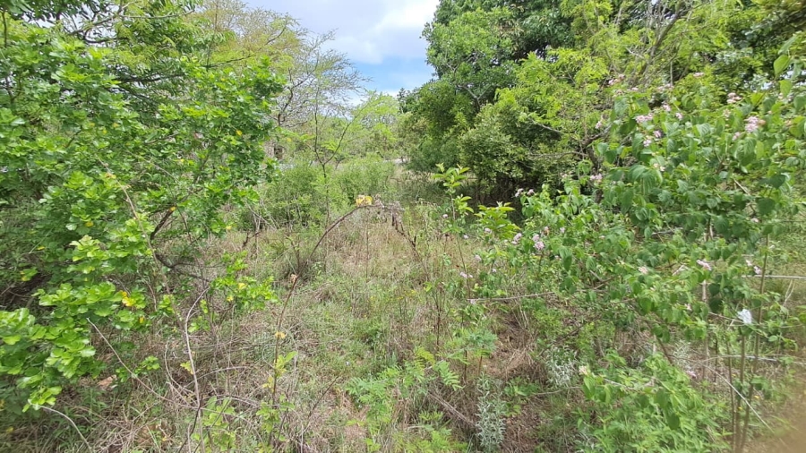0 Bedroom Property for Sale in Shandon Mpumalanga