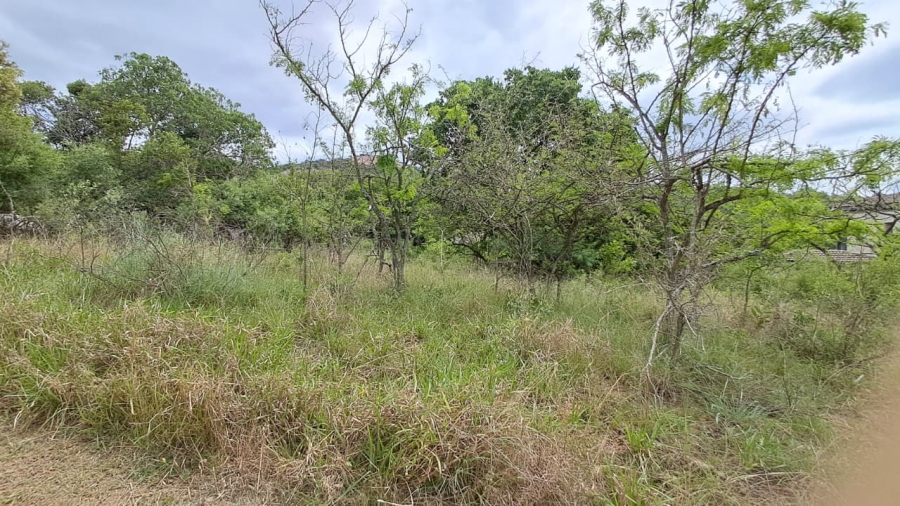 0 Bedroom Property for Sale in Shandon Mpumalanga