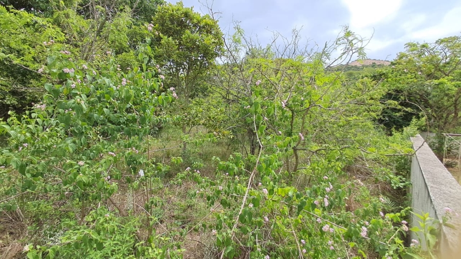 0 Bedroom Property for Sale in Shandon Mpumalanga