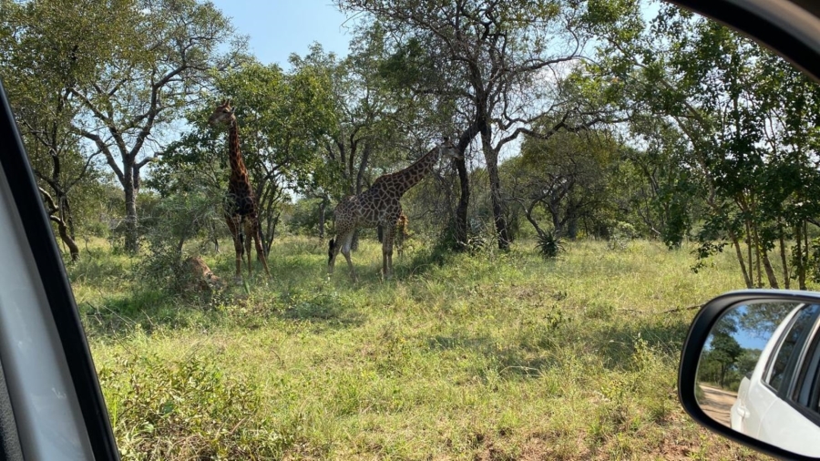 2 Bedroom Property for Sale in Sabie Park Mpumalanga