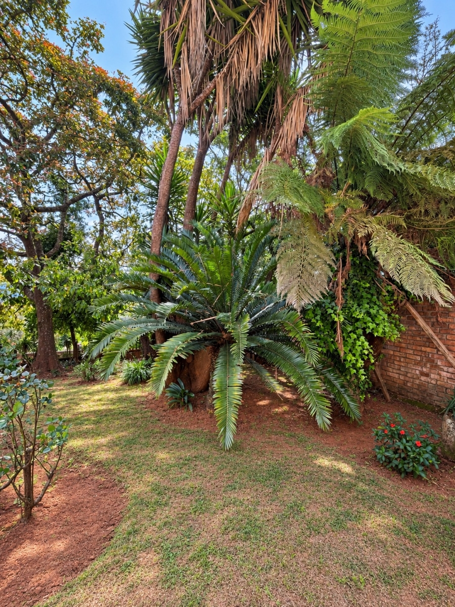 4 Bedroom Property for Sale in Graskop Mpumalanga